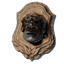 Cyclops Trophy