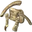 Skyrim Dragon Bone.webp