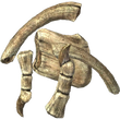 Skyrim Dragon Bone.webp