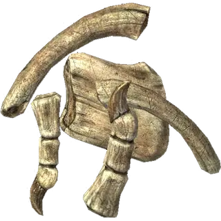 Dragon Bone