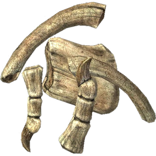 Dragon Bone