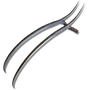 Elden-ring raptor-talons.webp