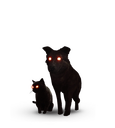 The Black Cat and Dog