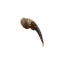 Spider Venom Sac