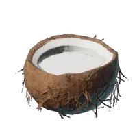 Coconut Milk