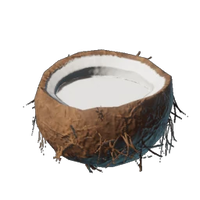 Coconut Milk