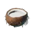 Coconut Milk