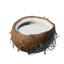 Coconut Milk