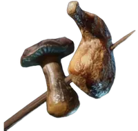 Meat and Mushroom Skewer