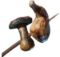 Meat and Mushroom Skewer
