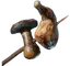 Meat and Mushroom Skewer