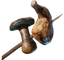 Meat and Mushroom Skewer