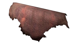 File:Skyrim category leather.webp