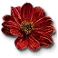 Beggartick Blossoms