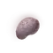 Elden-ring fingerprint-nostrum.webp
