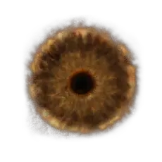 Elden-ring lords-rune.webp