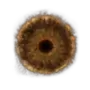 Elden-ring lords-rune.webp