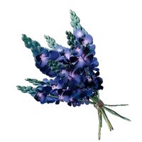Indigo Plant