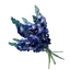 Indigo Plant