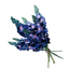 Indigo Plant