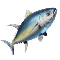 Yellowfin