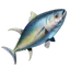 Yellowfin