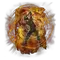 Elden-ring howl-of-shabriri.webp