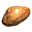 Skyrim Amber.webp