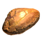 Skyrim Amber.webp