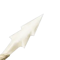 Fossilized Bone Arrow