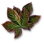 Nostrix