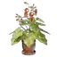 Grapple Plant Flower Pot