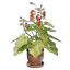 Grapple Plant Flower Pot