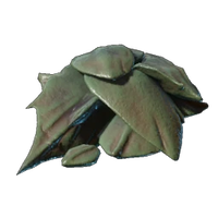 Drak Scales