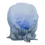 Cyst