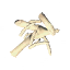 Bone Fragments