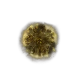 Golden Rune [13]