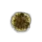 Elden-ring golden-rune-13.webp