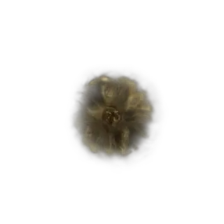 Golden Rune [6]