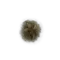 Elden-ring golden-rune-6.webp
