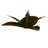 Bittergreen Petals