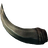 Boar Tusk