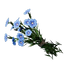 Flax