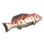 Grouper