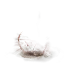 Elden-ring miquellas-great-rune.webp