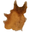 Deer Hide