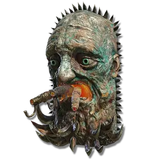 Visage Shield