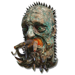 Visage Shield