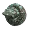 Elden-ring coil-shield.webp