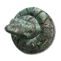Elden-ring coil-shield.webp
